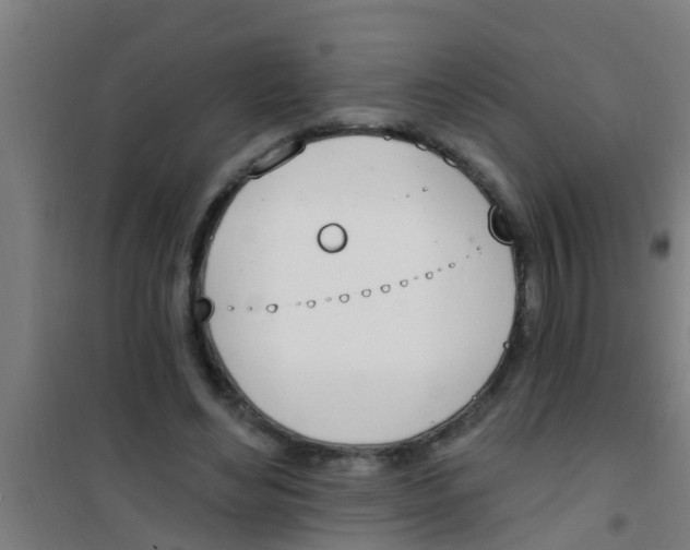 X0000100410492200807032041