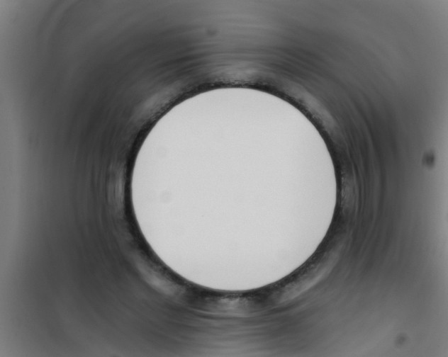 X0000100410493200807032041