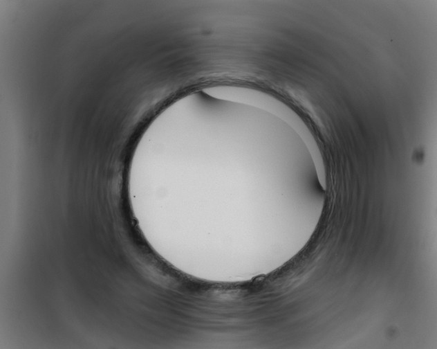 X0000100410495200807032041