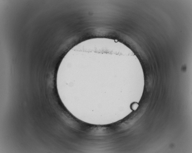 X0000100410497200807032041
