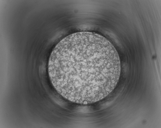X0000100410499200807032041
