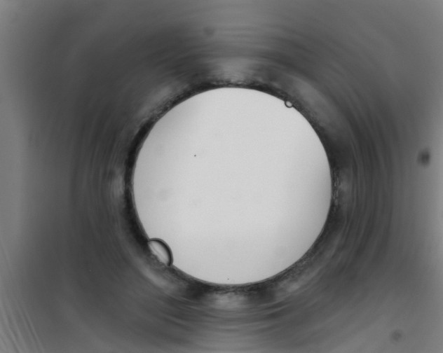 X0000100410500200807032041