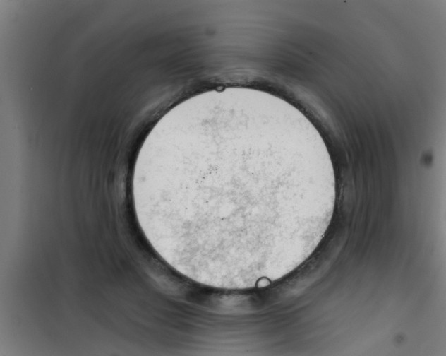 X0000100410501200807032041