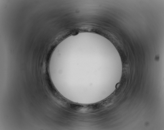 X0000100410504200807032041