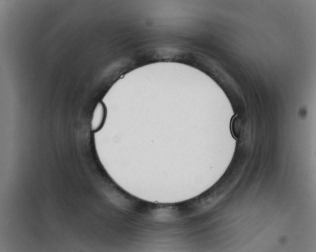X0000100410505200807032041