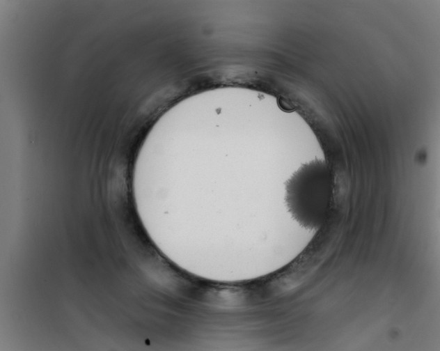 X0000100410506200807032041