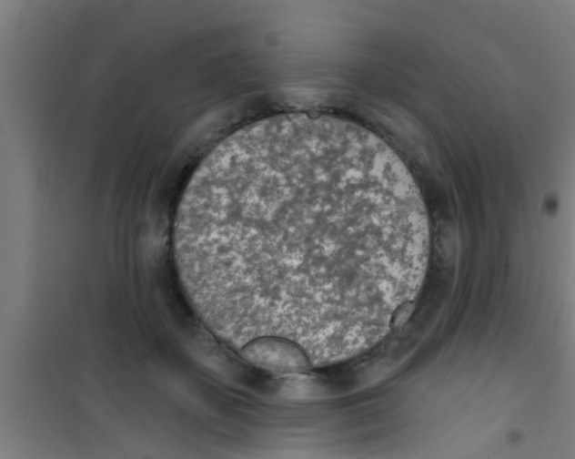 X0000100410507200807032041