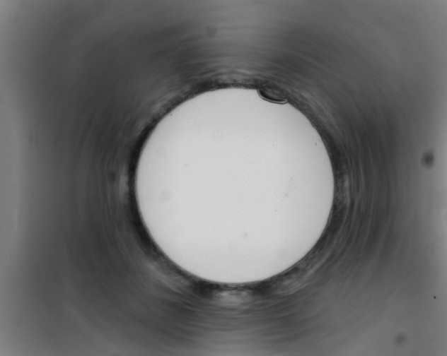 X0000100410508200807032041
