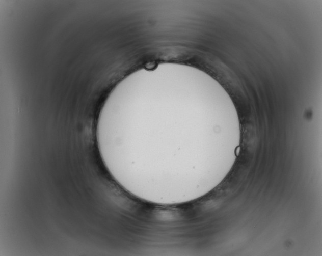 X0000100410510200807032041
