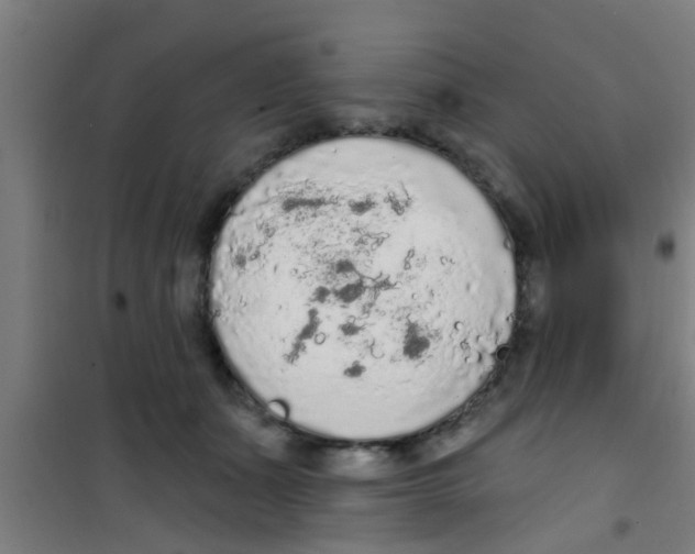 X0000100410511200807032041