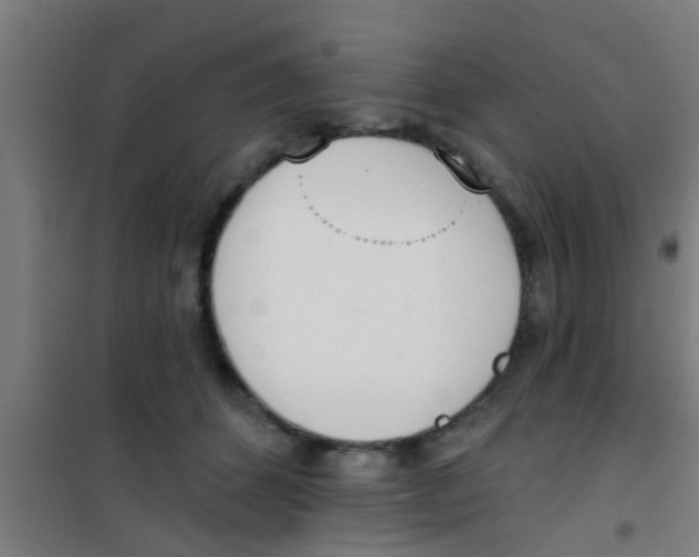 X0000100410512200807032041