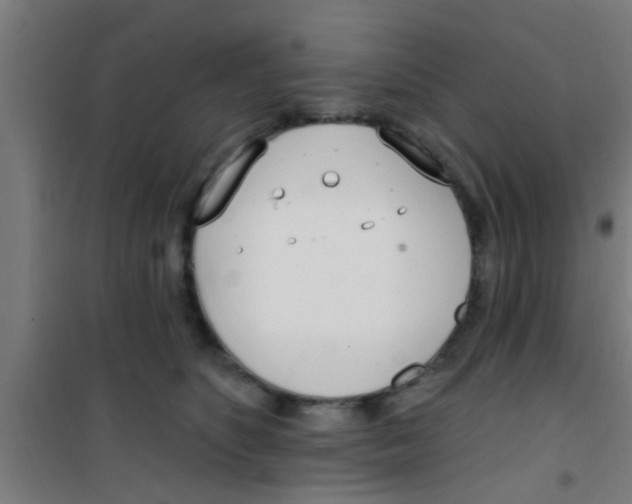 X0000100410516200807032041