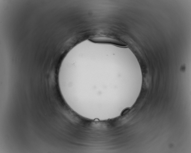 X0000100410520200807032041