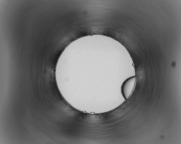 X0000100410522200807032041