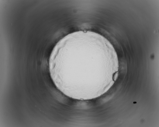 X0000100410523200807032041