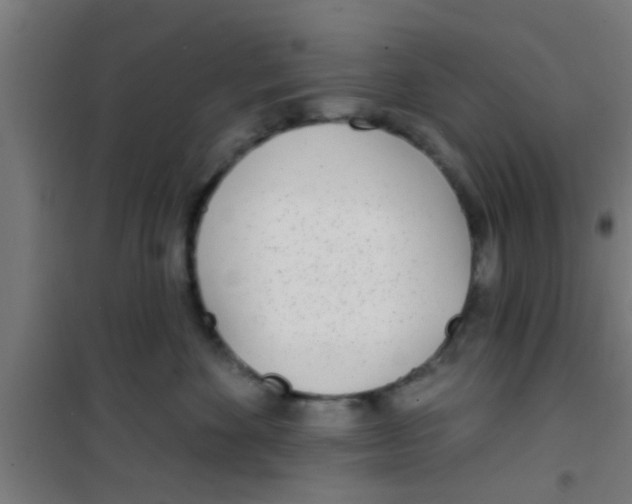 X0000100410524200807032041