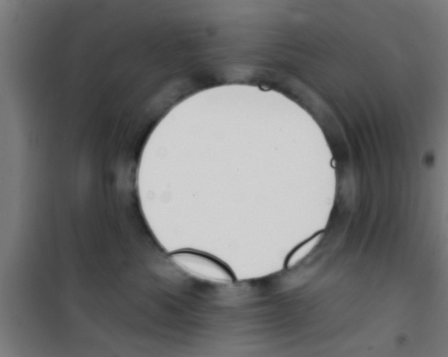 X0000100410525200807032041