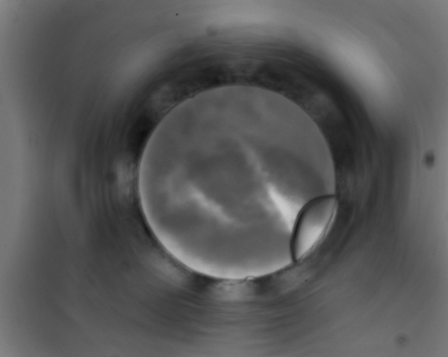 X0000100410526200807032041