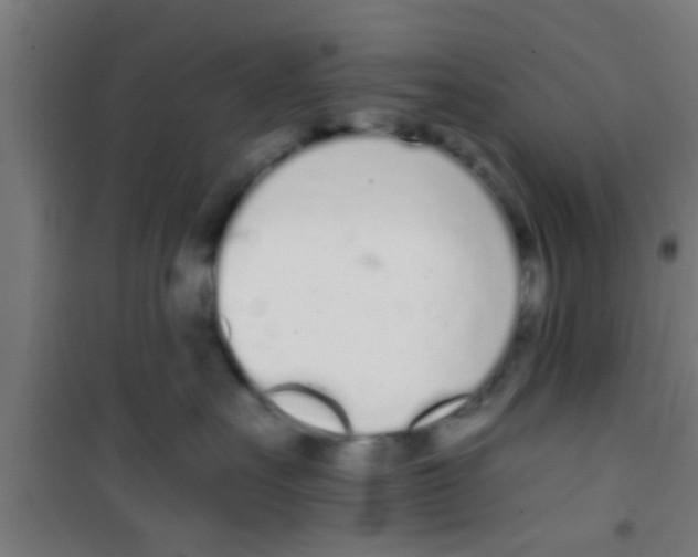 X0000100410527200807032041