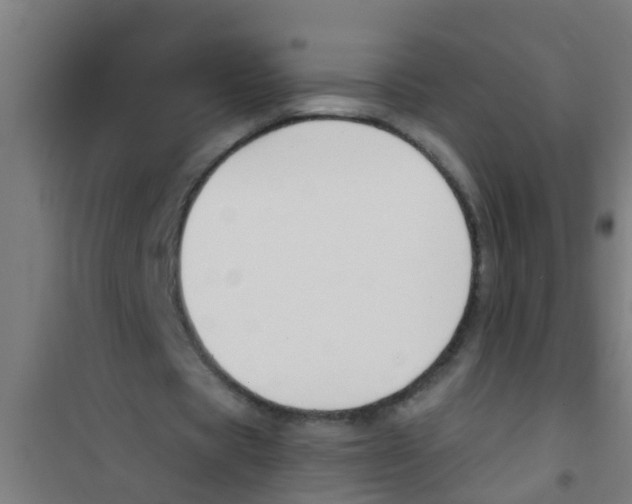 X0000100410529200807032040