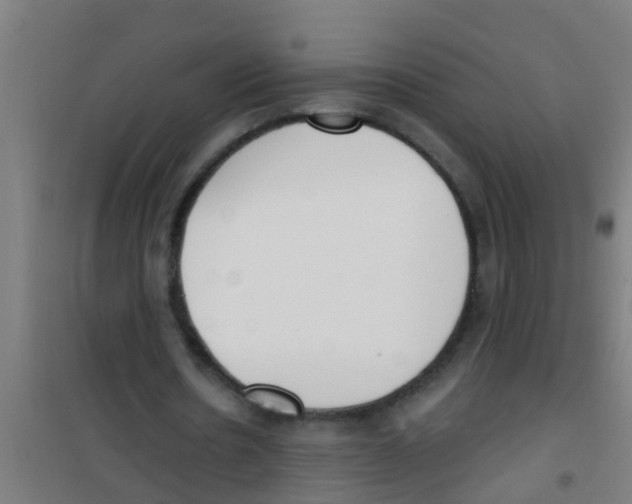 X0000100410530200807032040