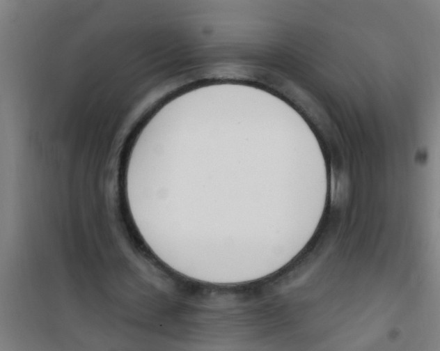 X0000100410531200807032040
