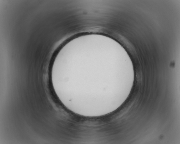 X0000100410532200807032040