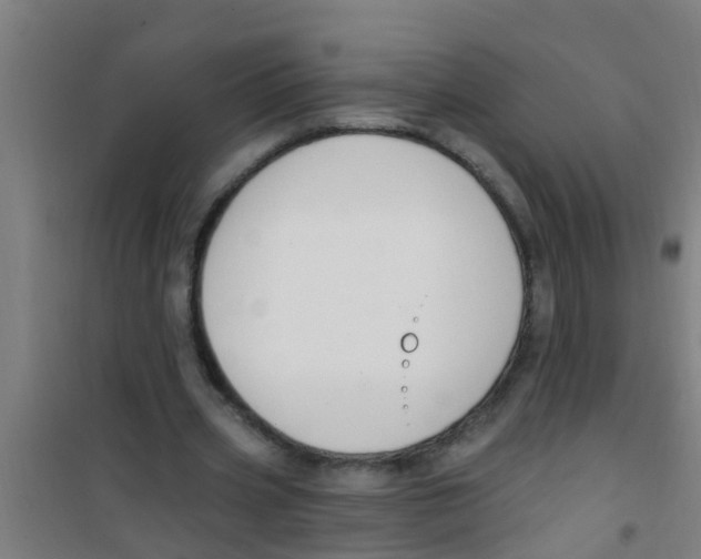 X0000100410533200807032040