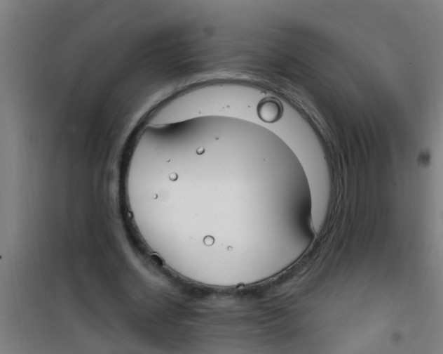 X0000100410534200807032040
