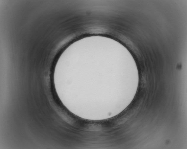 X0000100410535200807032040