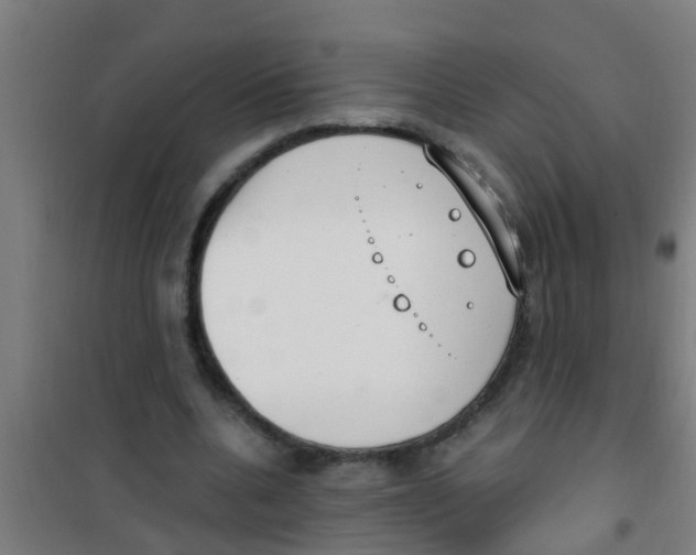 X0000100410536200807032040