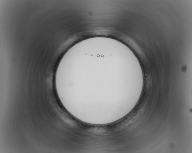 X0000100410537200807032040
