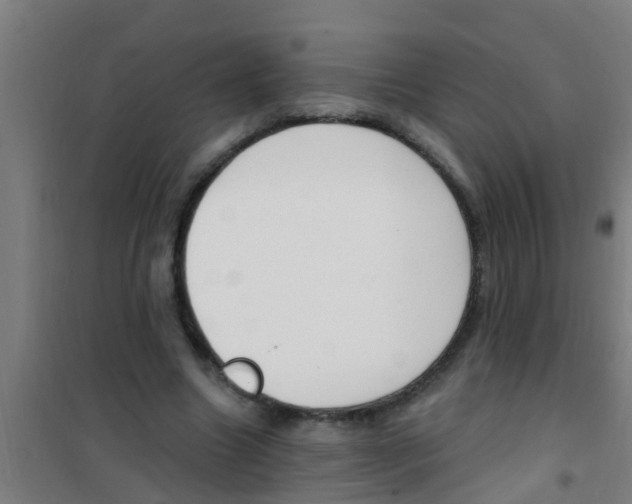 X0000100410538200807032040