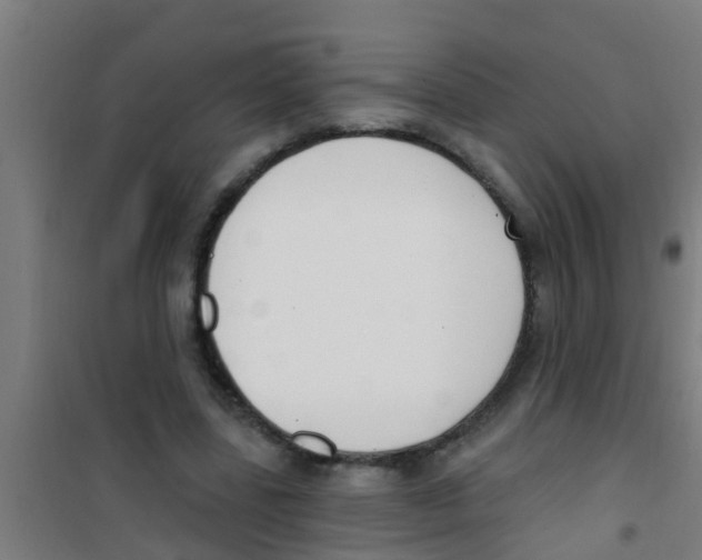 X0000100410539200807032040