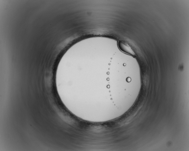 X0000100410540200807032040