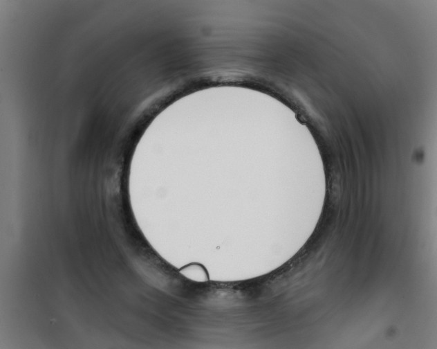 X0000100410543200807032040
