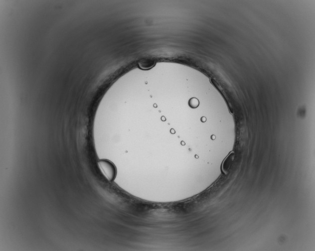 X0000100410544200807032040