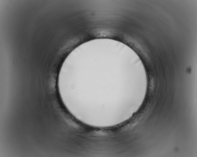 X0000100410545200807032040