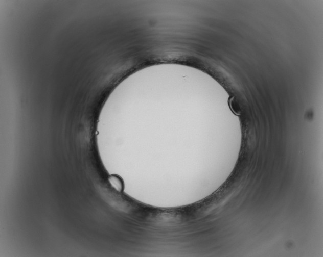 X0000100410546200807032040