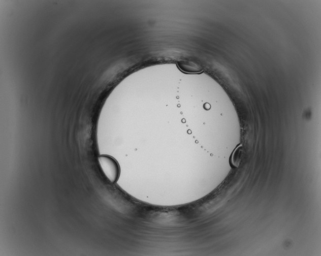 X0000100410548200807032040