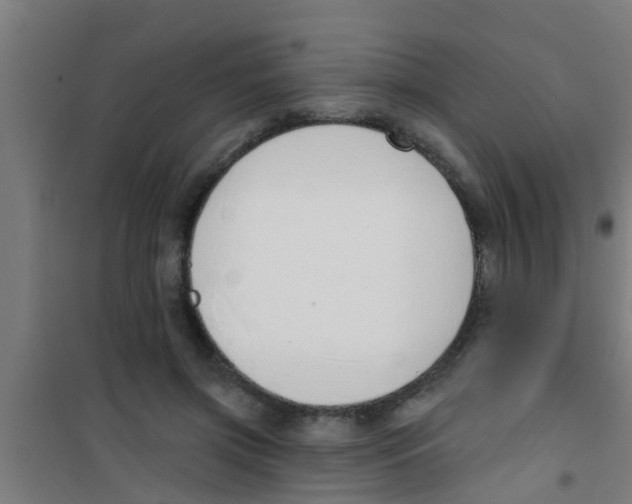 X0000100410549200807032040