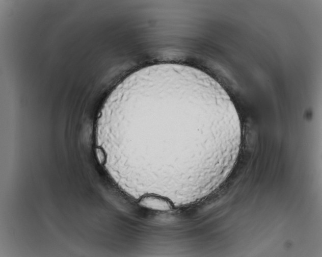 X0000100410550200807032040