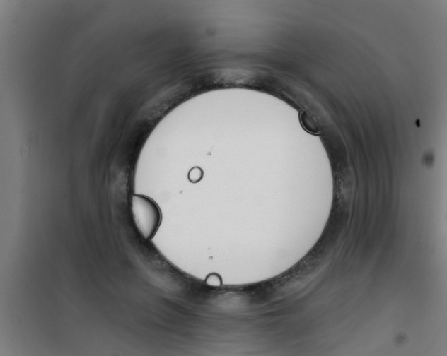 X0000100410551200807032040