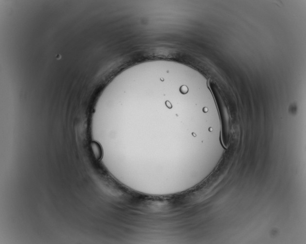 X0000100410552200807032040