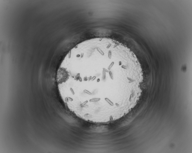 X0000100410553200807032040