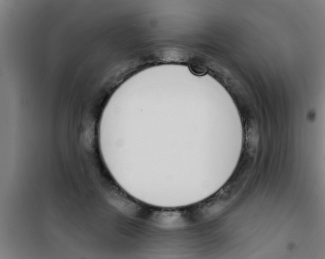 X0000100410554200807032040