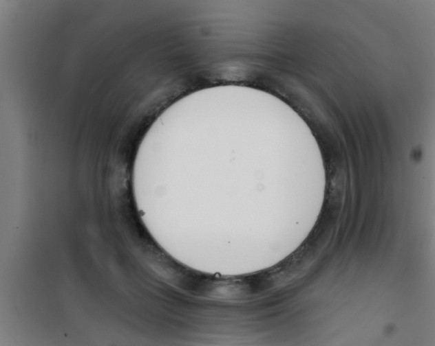 X0000100410555200807032040