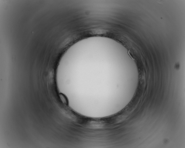 X0000100410556200807032040