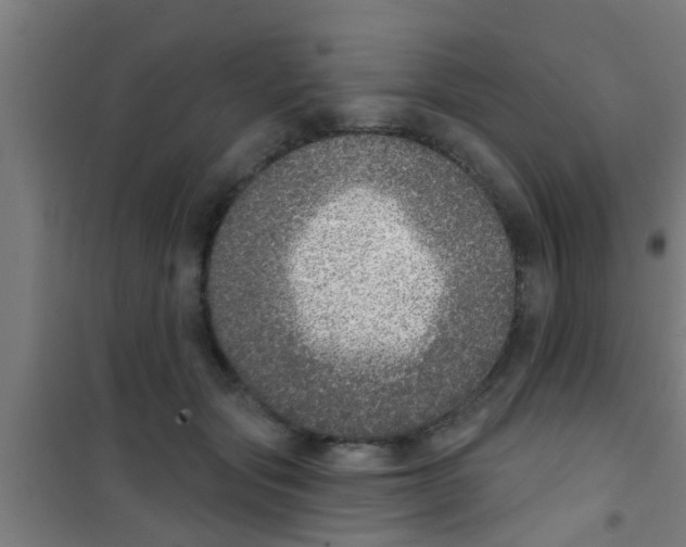 X0000100410557200807032040