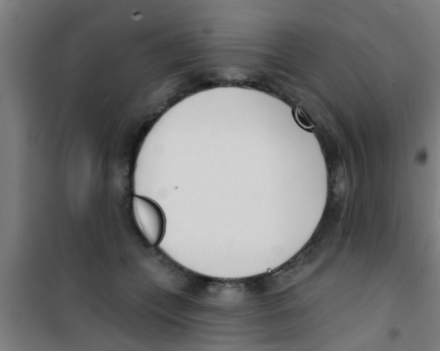 X0000100410559200807032040